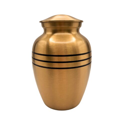 2801 Bronze with Black Bands