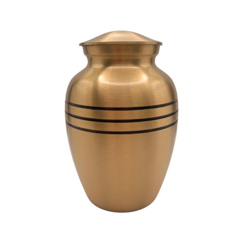 2801 Bronze with Black Bands