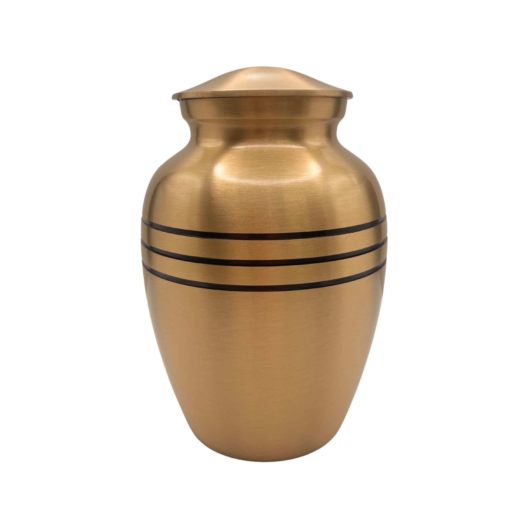 2801 Bronze with Black Bands