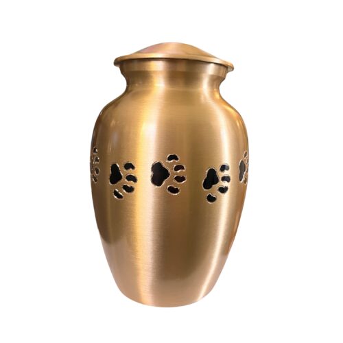 Brushed Bronze with Black Paws