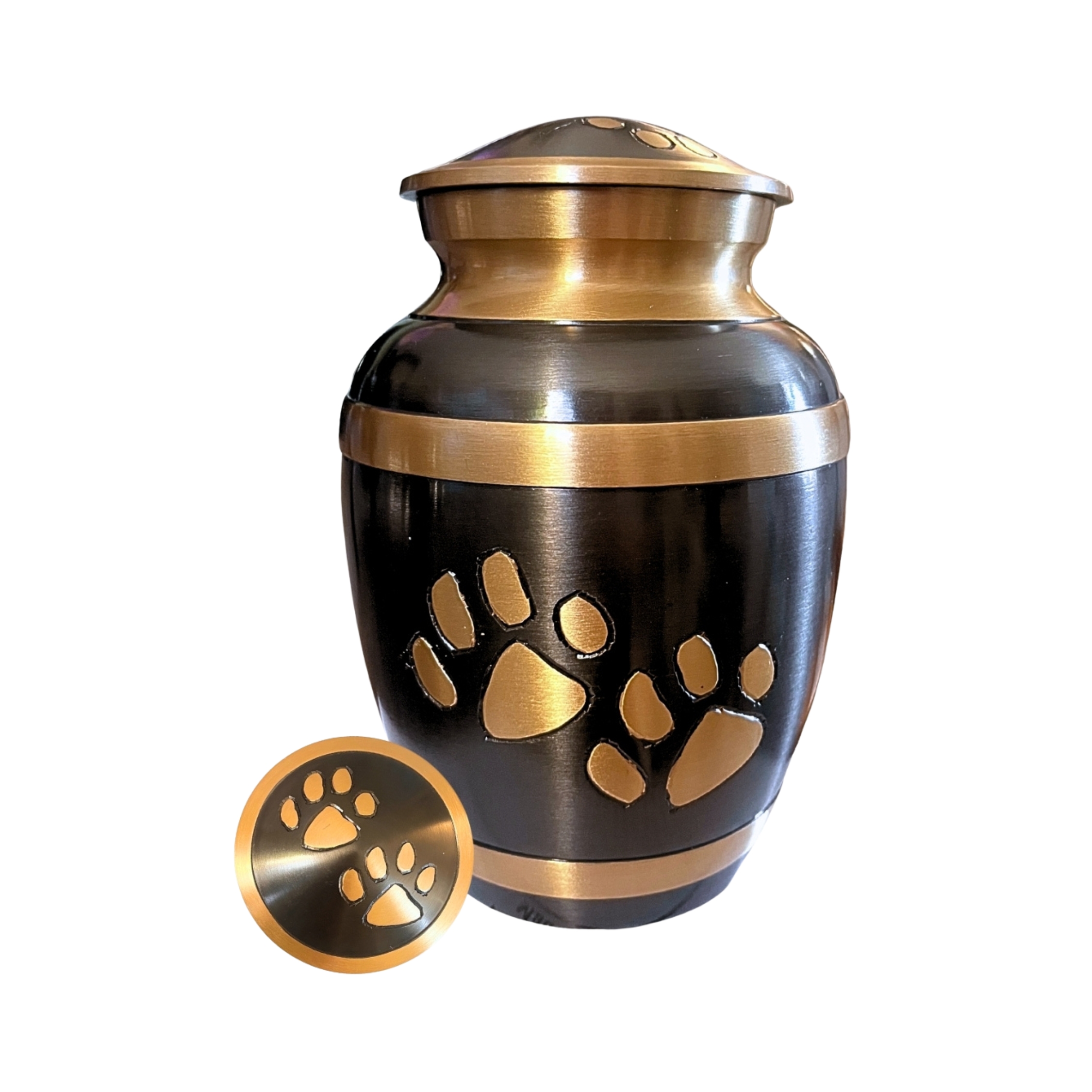 2876 Black Pewter with Brushed Bronze Paws and Bands