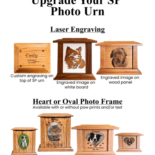 SP Photo or SP Tower Upgrade