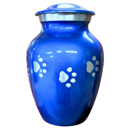 Blue With Silver Horizontal Paws